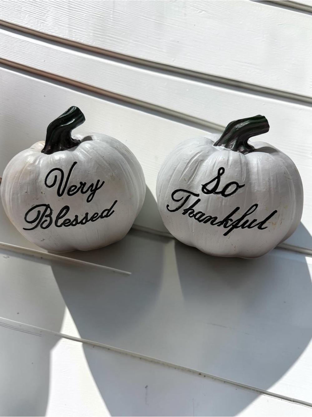 White Ceramic Pumpkins Set of 2 “Very Blessed” “So Thankful” Fall Decor